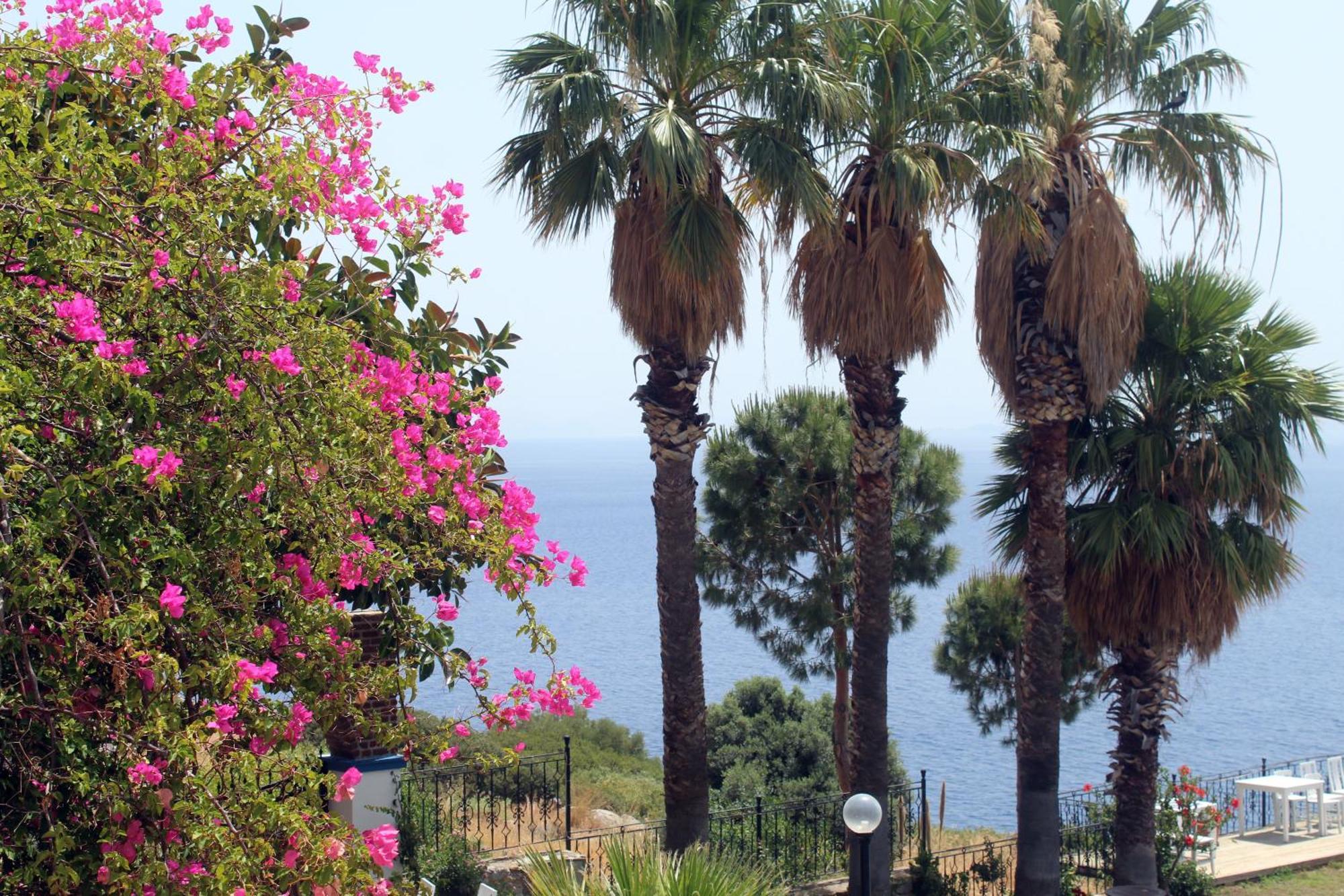 Datca Villa Carla Hotel Rom bilde